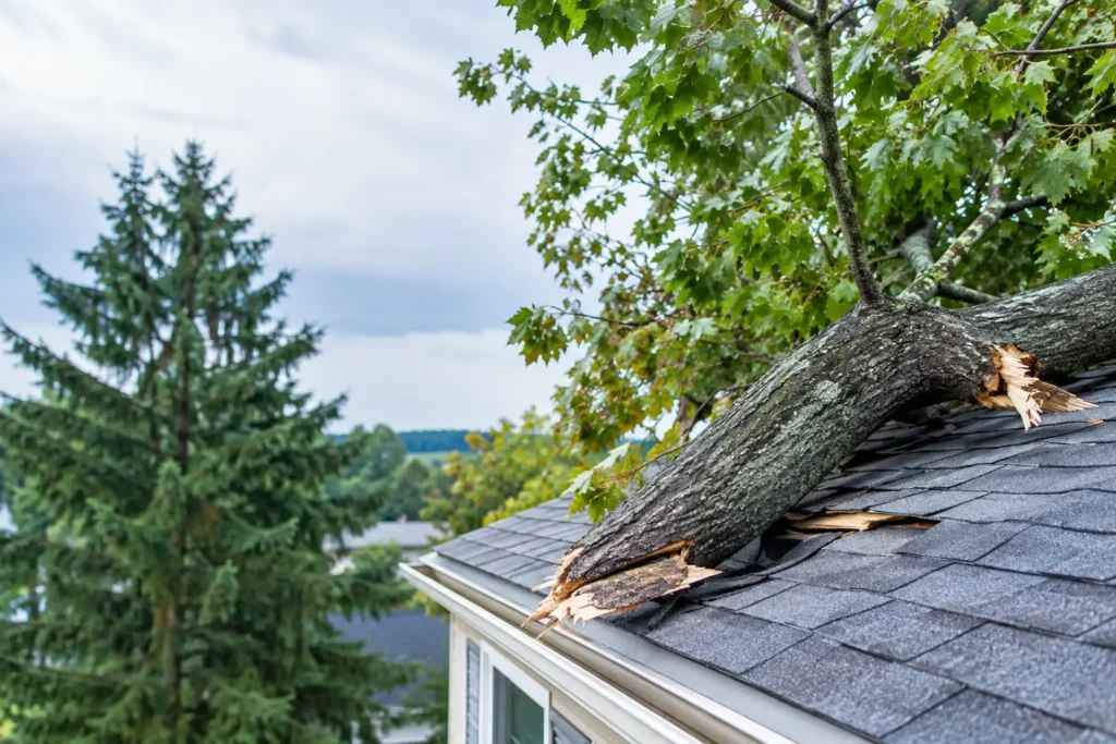 Wind Damage Claims After a Central New York Storm