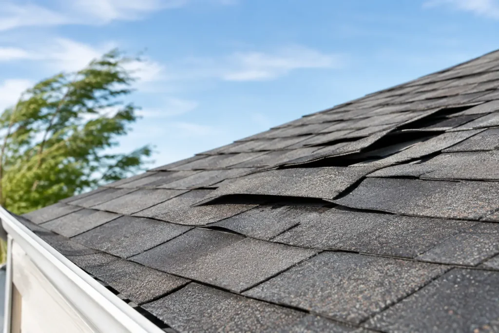 Can Wind Lift Roof Shingles? What Homeowners Need
